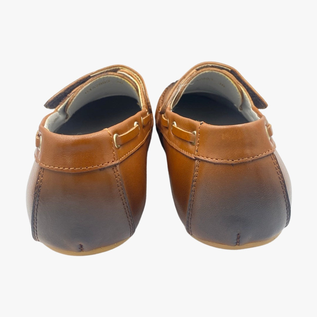 מוקסין סקוטץ - חום